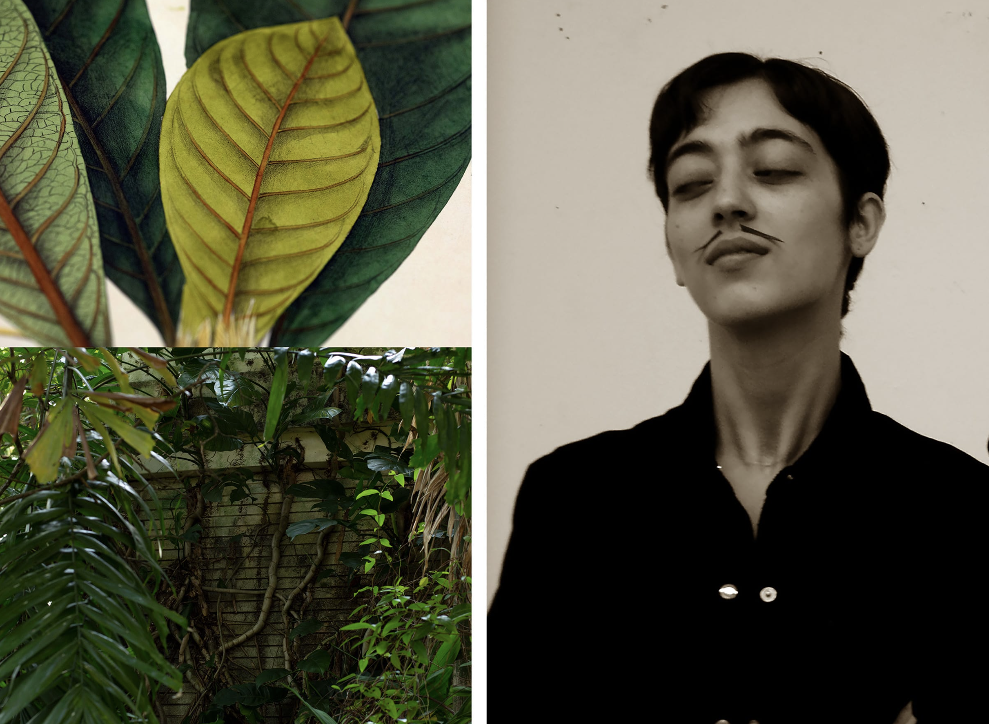 How I became an artist: Shubigi Rao